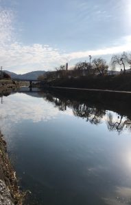 栃木にマス釣りに行ってきました～！