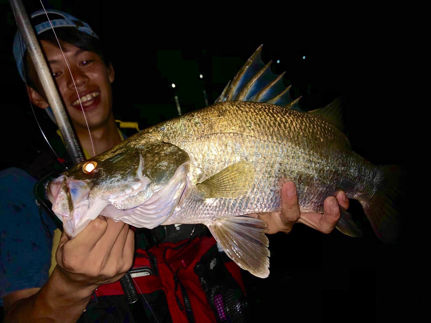 日本三大怪魚アカメの釣果をもらったよ♪ – 安芸広島店（Aki Hiroshima）