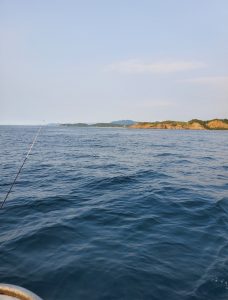 ケンサキイカ釣りに行ってきました。