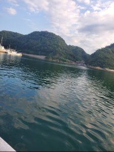 今年最後のイカ釣り（多分）