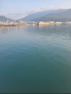 内海に釣りに行ってきました。