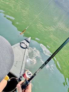 秋バス攻略行って来ました!!