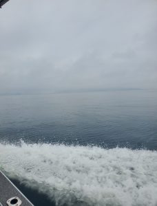 ライトジギング釣行！！