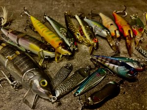 ベリーカップ決勝へ行って来ます。