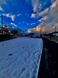 初詣行って来ました！