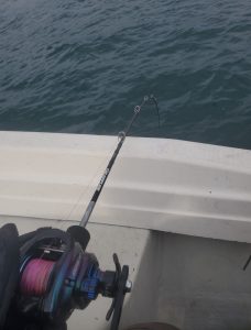 　　2026年初釣りに行って来ました。