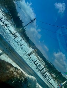 イカ釣り行って来ました！！