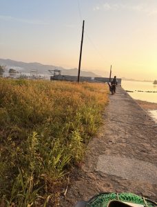 ☆フカセ修行日記☆