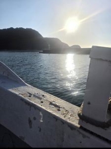 横山・山陰ケンサキイカ釣行！