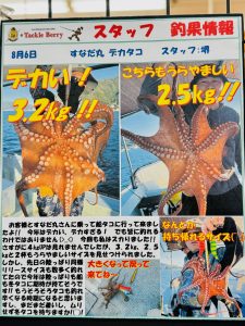 釣果情報です(^_-)-☆