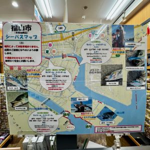 シーバスコーナーちょっとリニューアル。