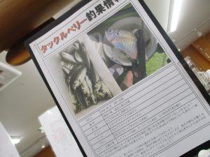 東京湾ライトアジのすゝめ