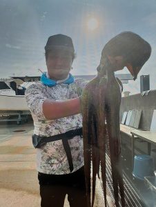明石のタコ釣りが熱い！
