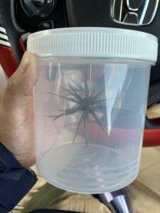 コンディションチェック