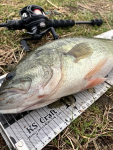 寒くなってキタァ！