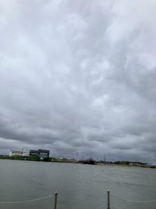 久し振りの釣果情報