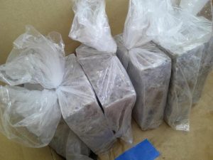 釣り餌入荷のお知らせ