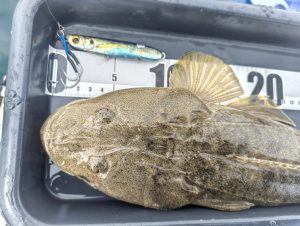 【米子店】釣果情報🐟