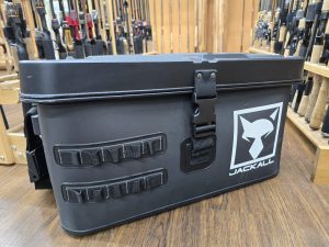 本日の入荷情報