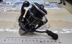 本日のオススメ！