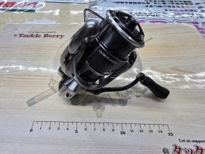 本日のおすすめ！