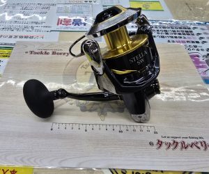 本日のオススメ！