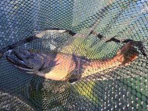 発光路へ行ってきました。