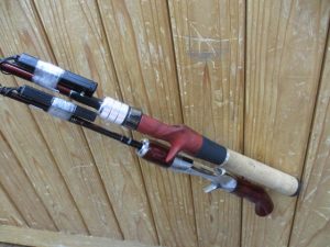 本日の入荷～FISH MAN～