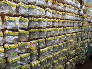 本日の入荷 ～お徳用パック登場～