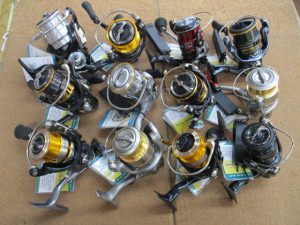 ～本日の入荷～