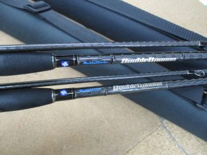 本日の入荷　～サーフヒラメ～