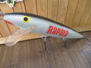 本日の入荷 ～ジャンボ～