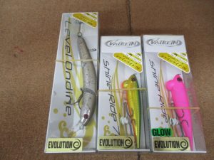 ～本日の入荷～