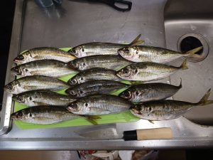 ☆釣果情報☆