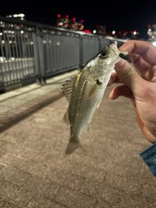 【八王子めじろ台店】活性上がっています!