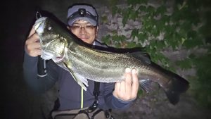 夏の夜遊び! 大物シーバスを狙え!!