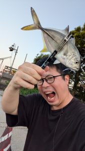 メッキ！群れで入ってます！