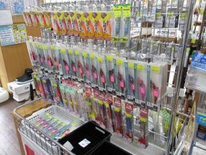美味満点！！エギでイカを狙おう！！