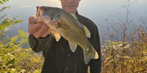 【秋田店】バスも釣れてます♪