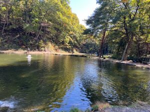 ～エリアも楽しい～