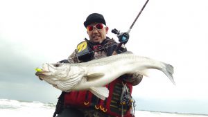 【秋田店】シーバス釣れてます！当店でもシーバスルアー常時入荷中☆