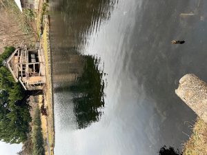 ～数釣りも大物も～