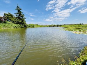 ～のんびり浮き小物釣りへ～