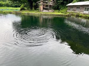 【秋田店】管理釣り場釣行