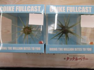 【中古ﾙｱｰ、新品ﾊﾄﾞﾙｷﾞﾙ､AKﾊﾞｽﾞ､ｷﾝｸｰｴｱｰ入荷】