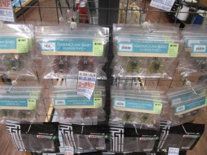 新品入荷情報!