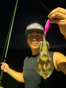 釣果情報in知多半島