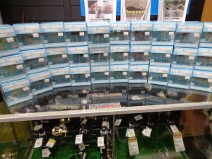 コイケシリーズ＆スコーピンロッド入荷！