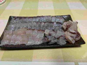10月12日魚津釣行釣果！！