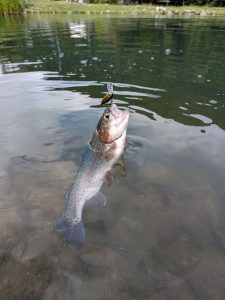 鱒蔵に行ってきました！